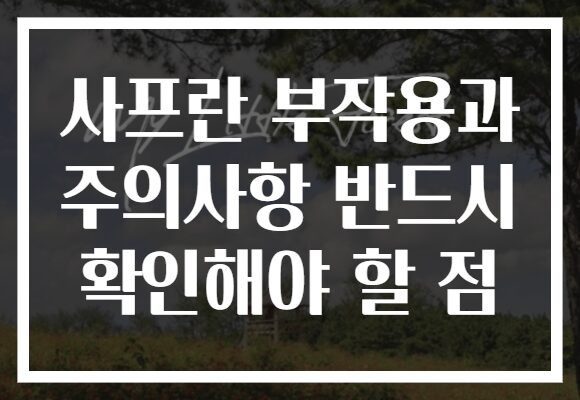 사프란 부작용과 주의사항 반드시 확인해야 할 점