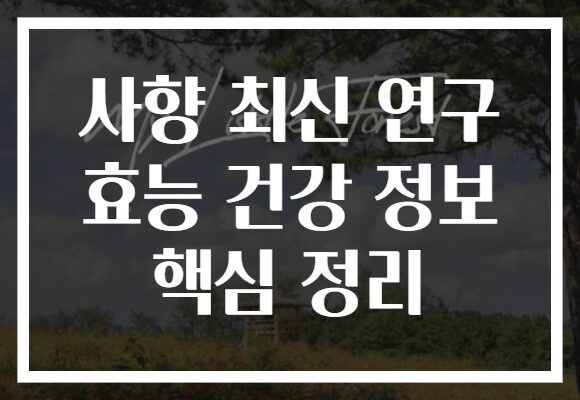사향 최신 연구 효능 건강 정보 핵심 정리