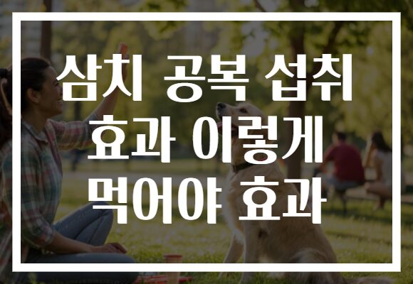 삼치 공복 섭취 효과 이렇게 먹어야 효과