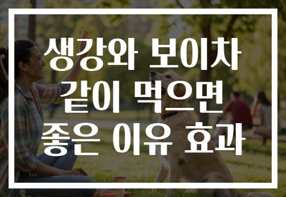 생강와 보이차 같이 먹으면 좋은 이유 효과