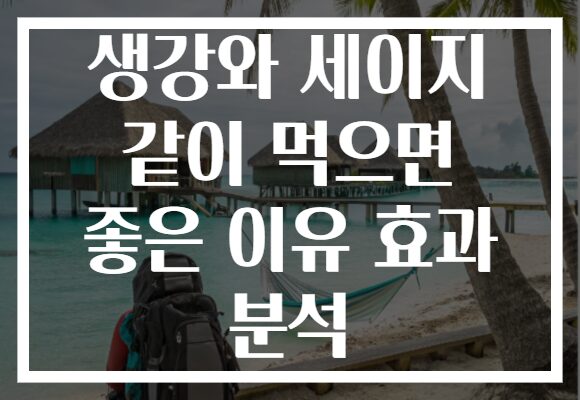 생강와 세이지 같이 먹으면 좋은 이유 효과 분석