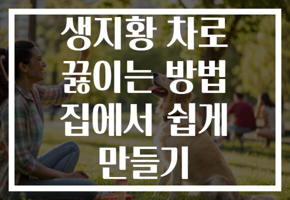 생지황 차로 끓이는 방법 집에서 쉽게 만들기