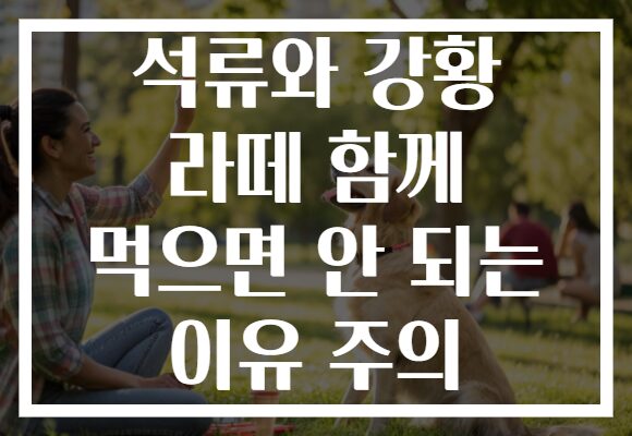 석류와 강황 라떼 함께 먹으면 안 되는 이유 주의