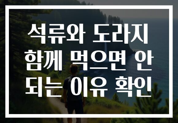 석류와 도라지 함께 먹으면 안 되는 이유 확인