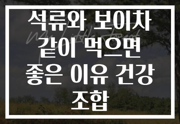석류와 보이차 같이 먹으면 좋은 이유 건강 조합