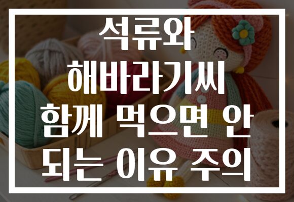석류와 해바라기씨 함께 먹으면 안 되는 이유 주의