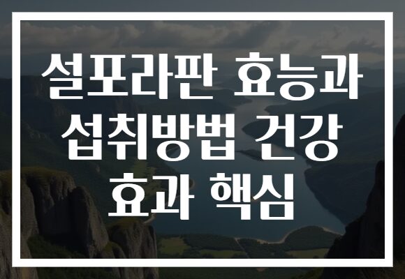 설포라판 효능과 섭취방법 건강 효과 핵심