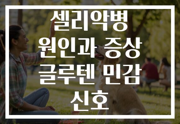 셀리악병 원인과 증상 글루텐 민감 신호