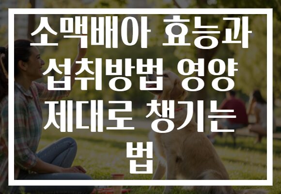 소맥배아 효능과 섭취방법 영양 제대로 챙기는 법