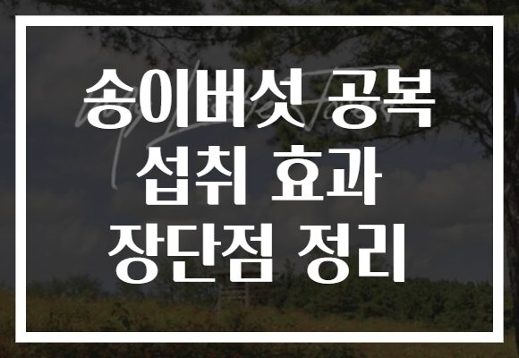 송이버섯 공복 섭취 효과 장단점 정리