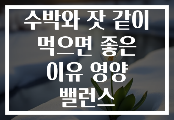 수박와 잣 같이 먹으면 좋은 이유 영양 밸런스 수박와 잣 같이 먹으면 좋은 이유 영양 밸런스