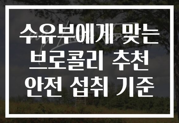 수유부에게 맞는 브로콜리 추천 안전 섭취 기준 수유부에게 맞는 브로콜리 추천 안전 섭취 기준