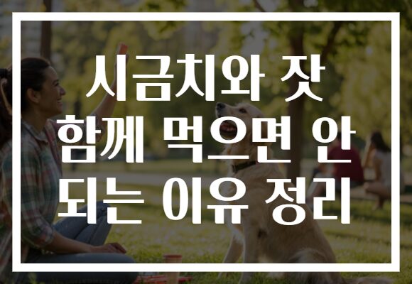 시금치와 잣 함께 먹으면 안 되는 이유 정리