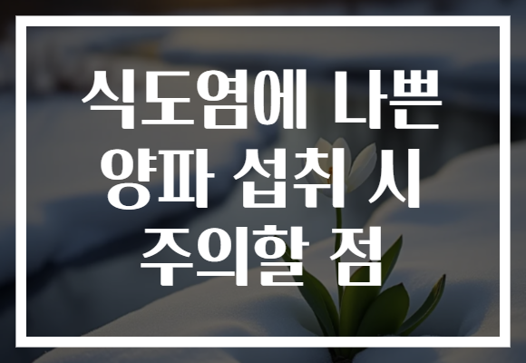 식도염에 나쁜 양파 섭취 시 주의할 점