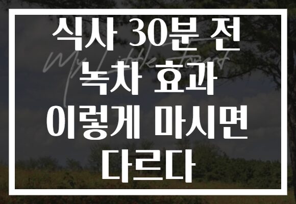 식사 30분 전 녹차 효과 이렇게 마시면 다르다