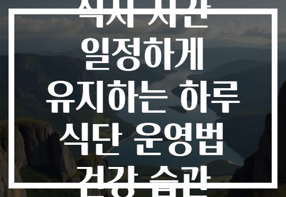 식사 시간 일정하게 유지하는 하루 식단 운영법 건강 습관