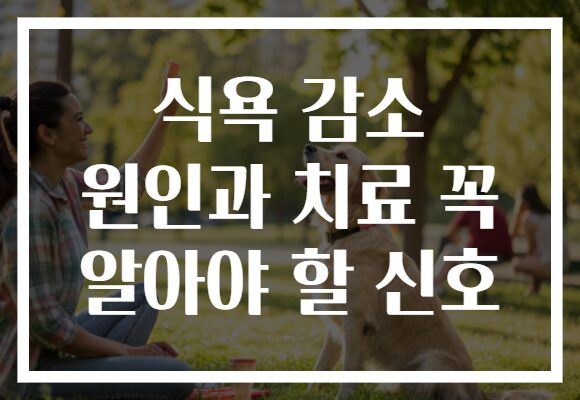 식욕 감소 원인과 치료 꼭 알아야 할 신호