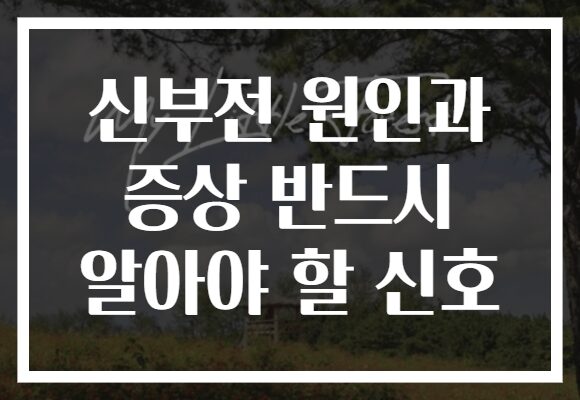 신부전 원인과 증상 반드시 알아야 할 신호