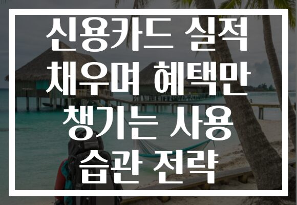 신용카드 실적 채우며 혜택만 챙기는 사용 습관 전략 신용카드 실적 채우며 혜택만 챙기는 사용 습관 전략