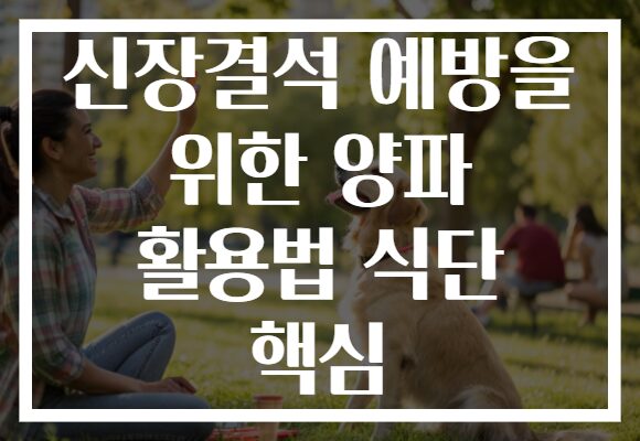 신장결석 예방을 위한 양파 활용법 식단 핵심