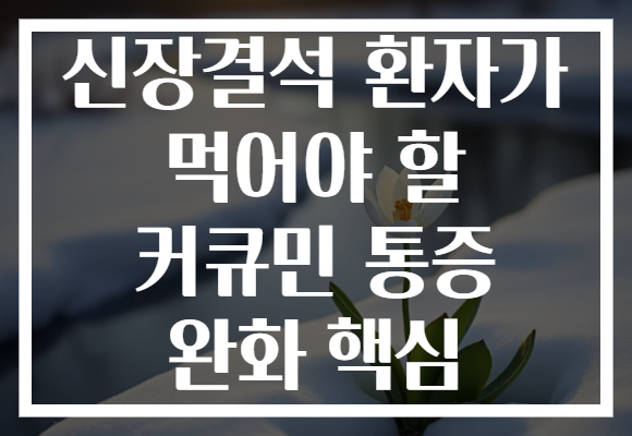 신장결석 환자가 먹어야 할 커큐민 통증 완화 핵심 신장결석 환자가 먹어야 할 커큐민 통증 완화 핵심