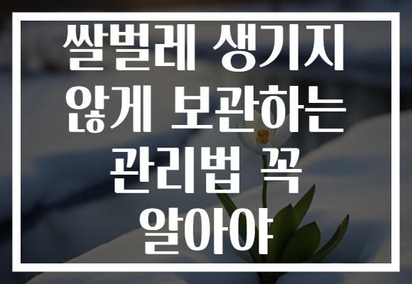 쌀벌레 생기지 않게 보관하는 관리법 꼭 알아야