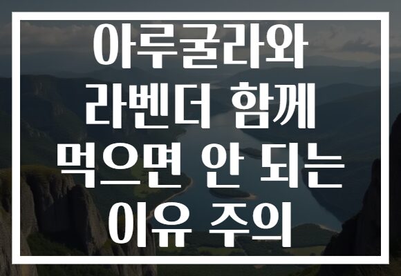 아루굴라와 라벤더 함께 먹으면 안 되는 이유 주의 아루굴라와 라벤더 함께 먹으면 안 되는 이유 주의