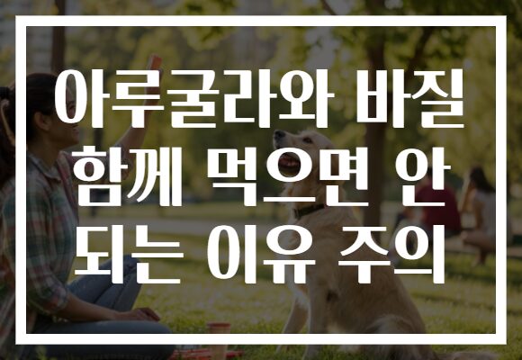 아루굴라와 바질 함께 먹으면 안 되는 이유 주의