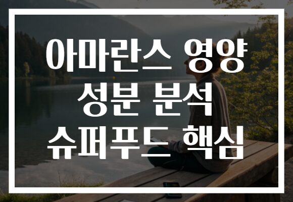 아마란스 영양 성분 분석 슈퍼푸드 핵심