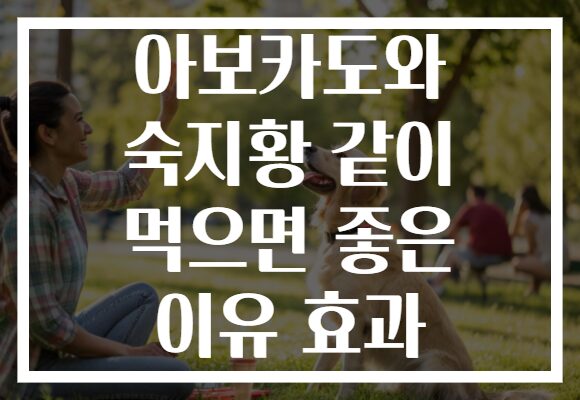 아보카도와 숙지황 같이 먹으면 좋은 이유 효과