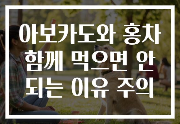 아보카도와 홍차 함께 먹으면 안 되는 이유 주의