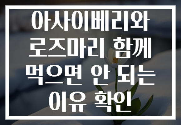 아사이베리와 로즈마리 함께 먹으면 안 되는 이유 확인 아사이베리와 로즈마리 함께 먹으면 안 되는 이유 확인