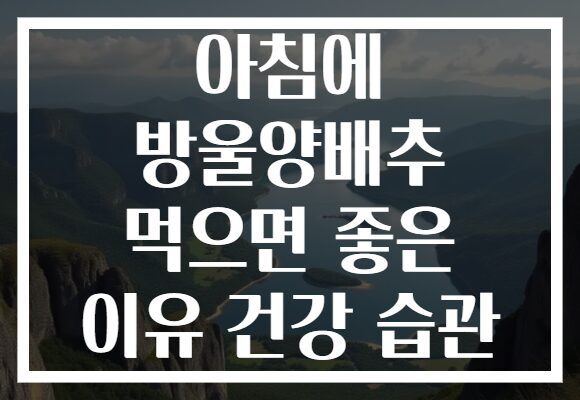 아침에 방울양배추 먹으면 좋은 이유 건강 습관