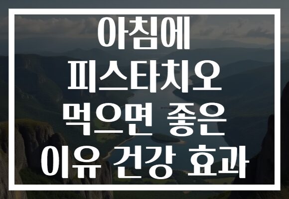 아침에 피스타치오 먹으면 좋은 이유 건강 효과