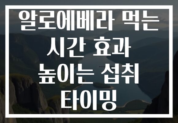 알로에베라 먹는 시간 효과 높이는 섭취 타이밍