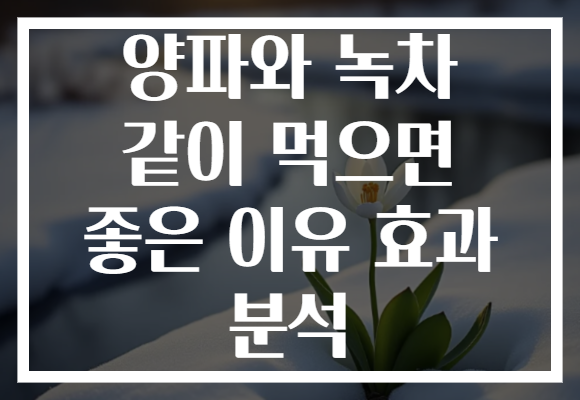 양파와 녹차 같이 먹으면 좋은 이유 효과 분석