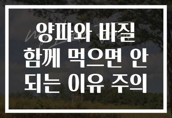 양파와 바질 함께 먹으면 안 되는 이유 주의