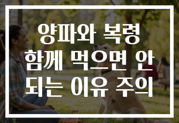 양파와 복령 함께 먹으면 안 되는 이유 주의