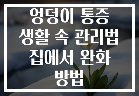 엉덩이 통증 생활 속 관리법 집에서 완화 방법