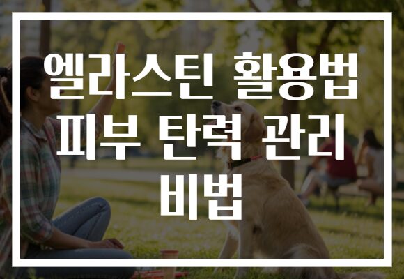 엘라스틴 활용법 피부 탄력 관리 비법