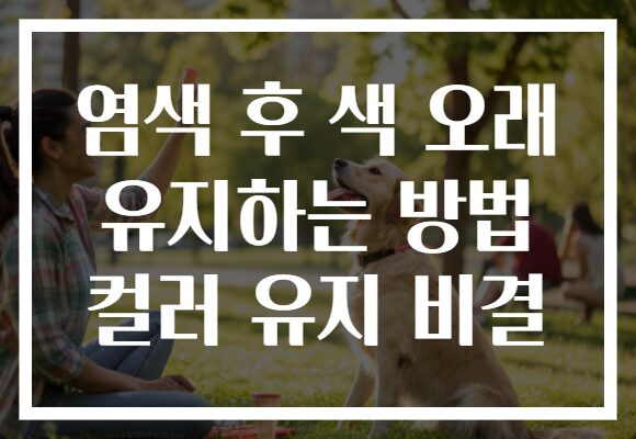 염색 후 색 오래 유지하는 방법 컬러 유지 비결 염색 후 색 오래 유지하는 방법 컬러 유지 비결