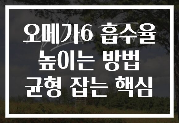 오메가6 흡수율 높이는 방법 균형 잡는 핵심