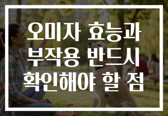 오미자 효능과 부작용 반드시 확인해야 할 점