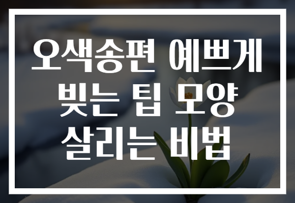 오색송편 예쁘게 빚는 팁 모양 살리는 비법