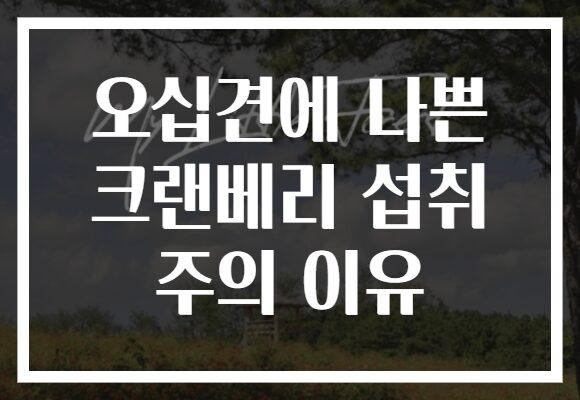 오십견에 나쁜 크랜베리 섭취 주의 이유 오십견에 나쁜 크랜베리 섭취 주의 이유