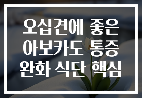 오십견에 좋은 아보카도 통증 완화 식단 핵심