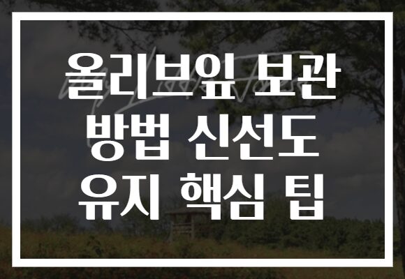 올리브잎 보관 방법 신선도 유지 핵심 팁