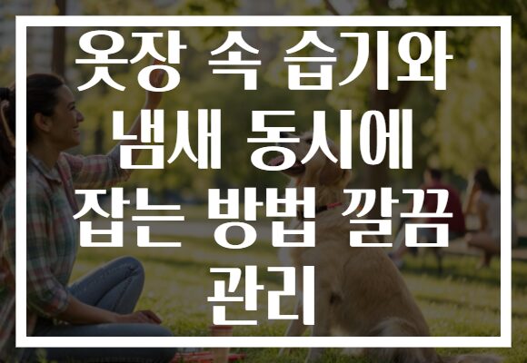 옷장 속 습기와 냄새 동시에 잡는 방법 깔끔 관리 옷장 속 습기와 냄새 동시에 잡는 방법 깔끔 관리