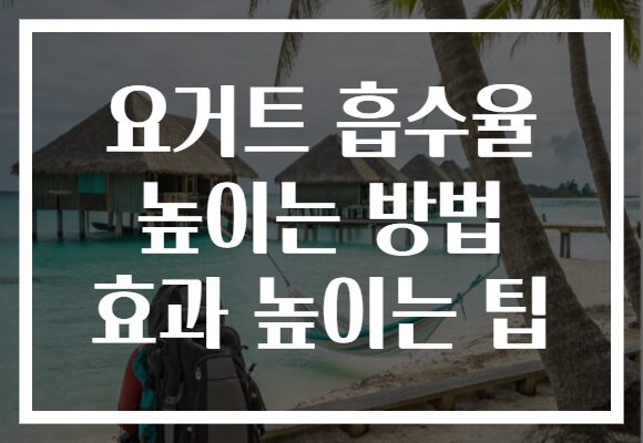 요거트 흡수율 높이는 방법 효과 높이는 팁