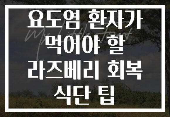 요도염 환자가 먹어야 할 라즈베리 회복 식단 팁